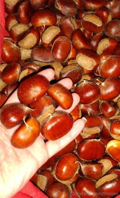 Show me your nuts!! 
It's January 1st and I would love know ..