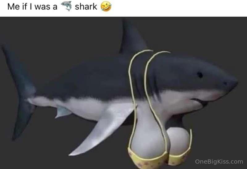 I just cant resist posting this 🤣