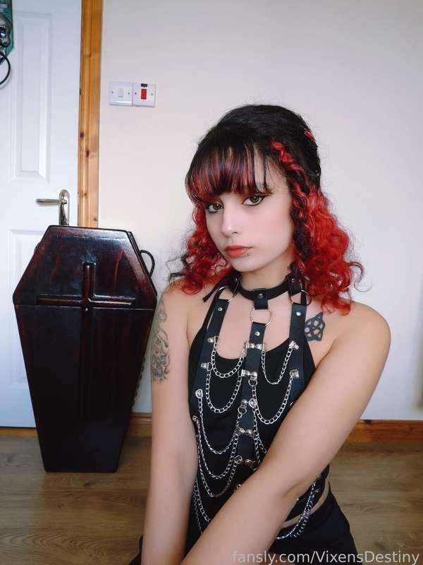 vixensdestiny image #3