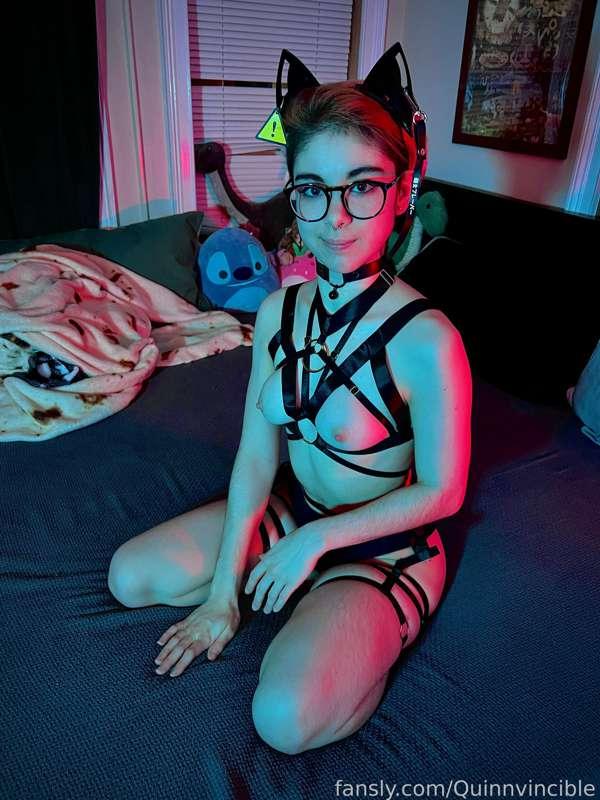 quinnvincible image #1