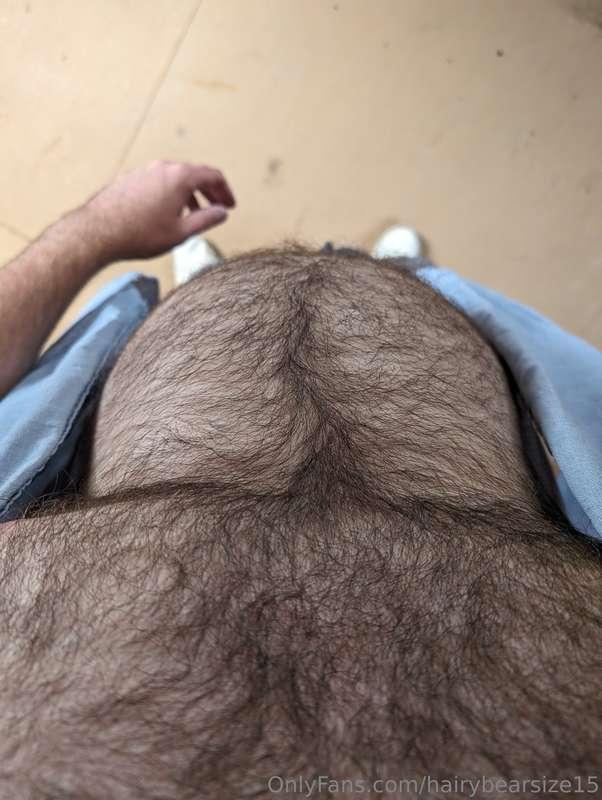 hairybearsize15 main image