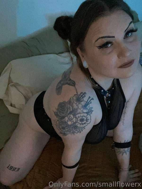 Come to bed already (;