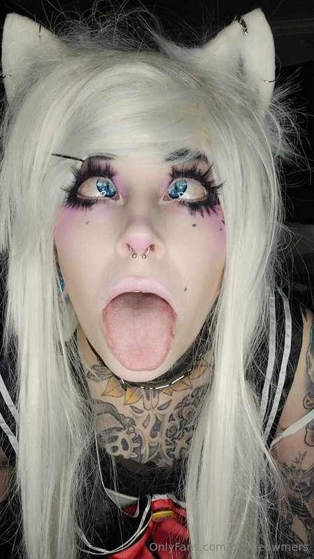 mzmeowmers image #1