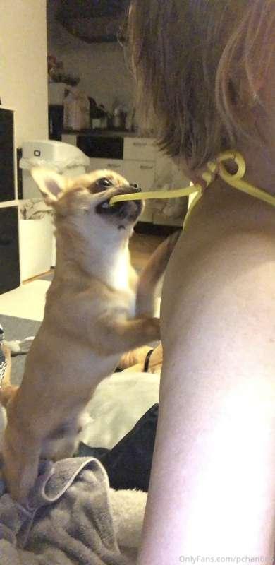 これからLiveちょっとだけ！