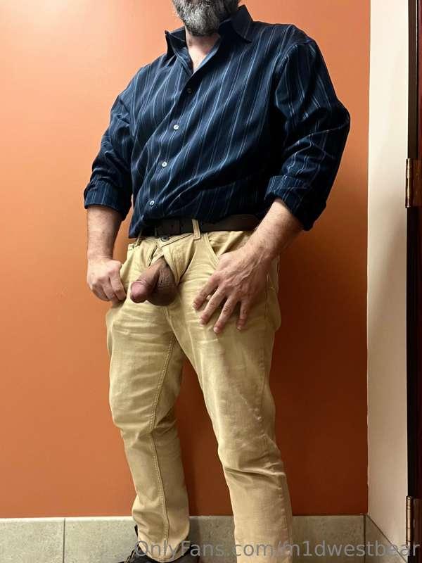 m1dwestbear image #4
