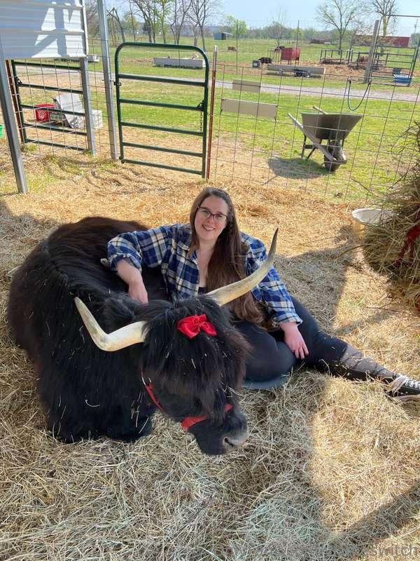I got to pet some super cute scottish highlands today before..
