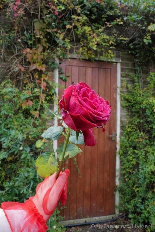 lilys-art main image