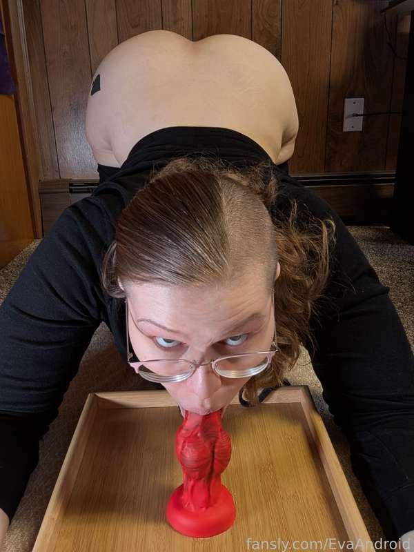 evaandroid image #38