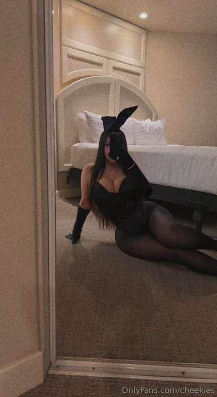 Lets do what bunnies do 🐰
