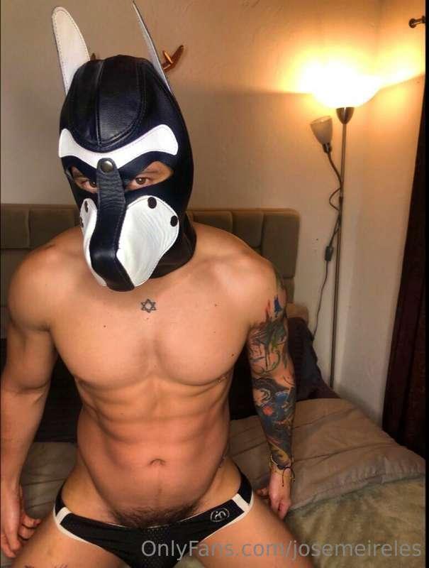 sometimes i'm a dog  @josemeireles