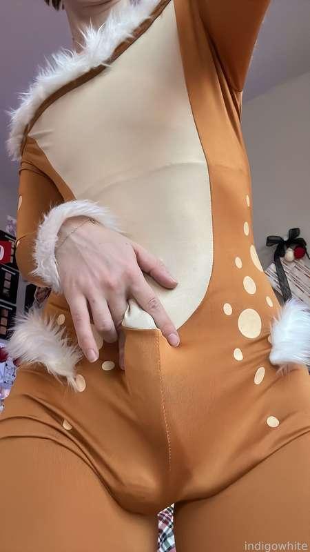 indigowhite image #50