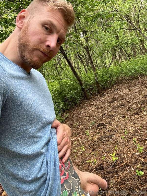 Wanna go for a walk in the woods? 😏 The weather is perfect