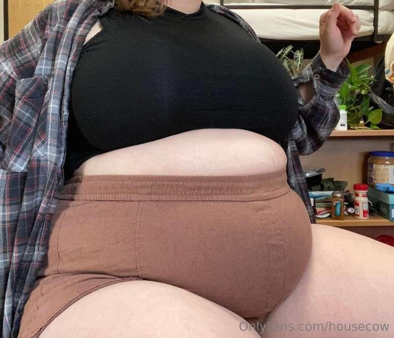 housecow image #20