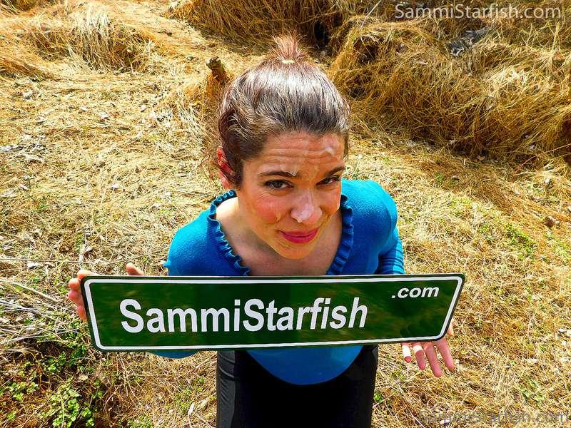sammi-starfish image #1