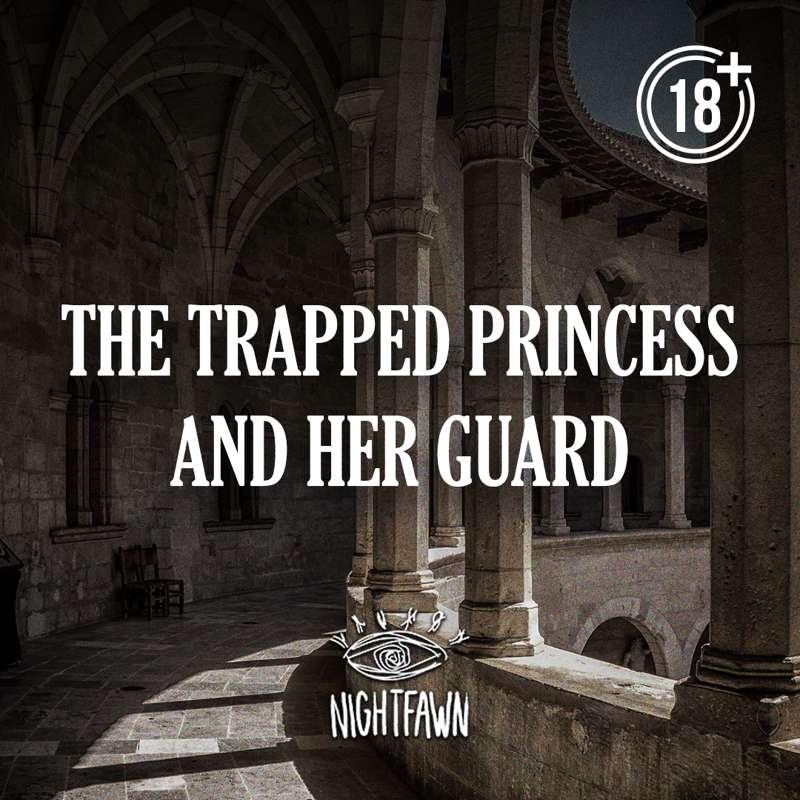 The Trapped Princess and Her Guard