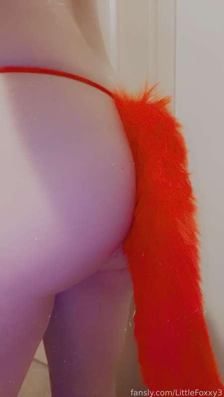 littlefoxxy3 image #2