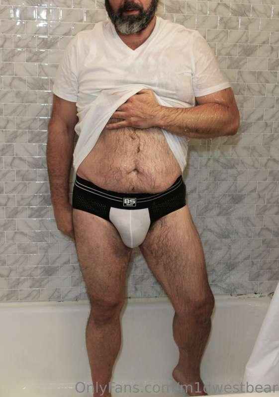 m1dwestbear image #0