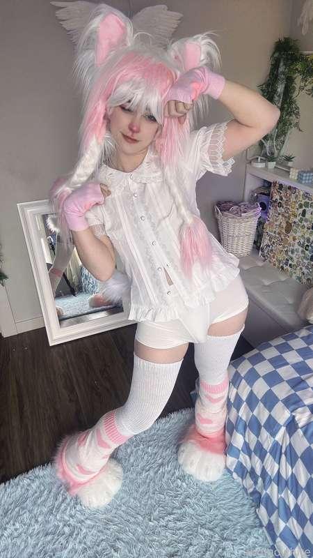 indigowhite image #167