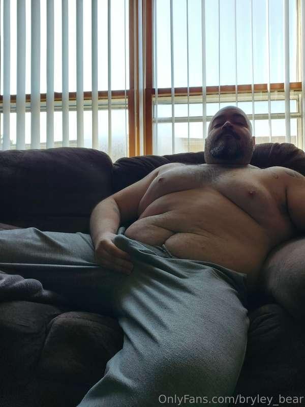 bryley_bear image #0