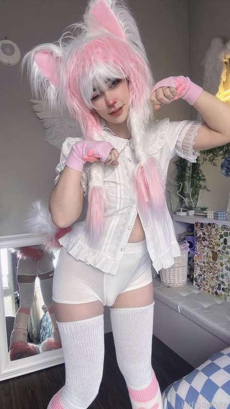indigowhite image #164