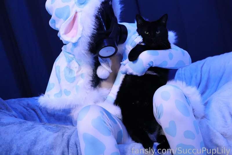 succupuplily image #11
