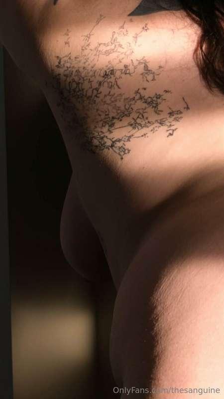 thesanguine image #1