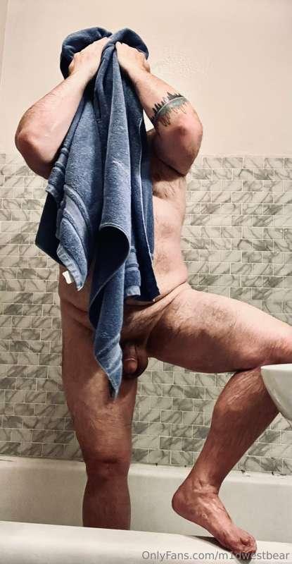 m1dwestbear image #6
