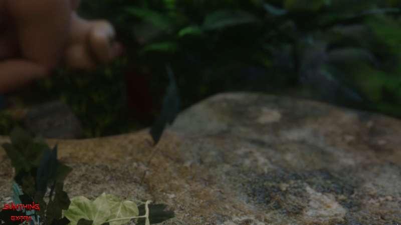 Jungle Fever