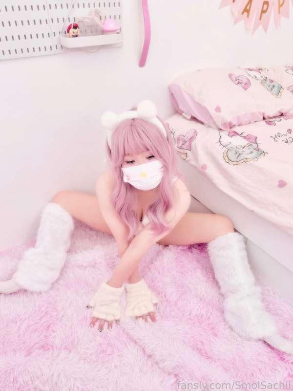 smolsachii image #3