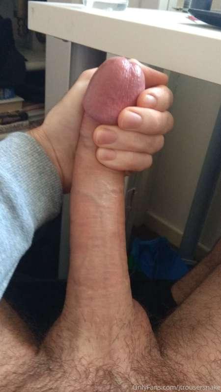 I love my big pretty horsecock