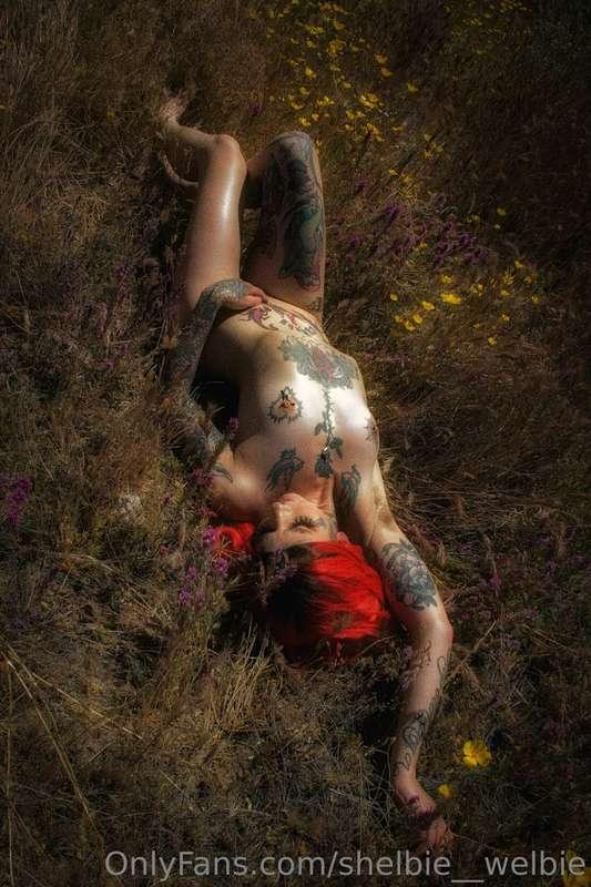 shelbie__welbie image #0