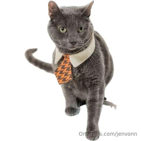 🩵 hey guys… I’m taking today off due to my furry friend pass..