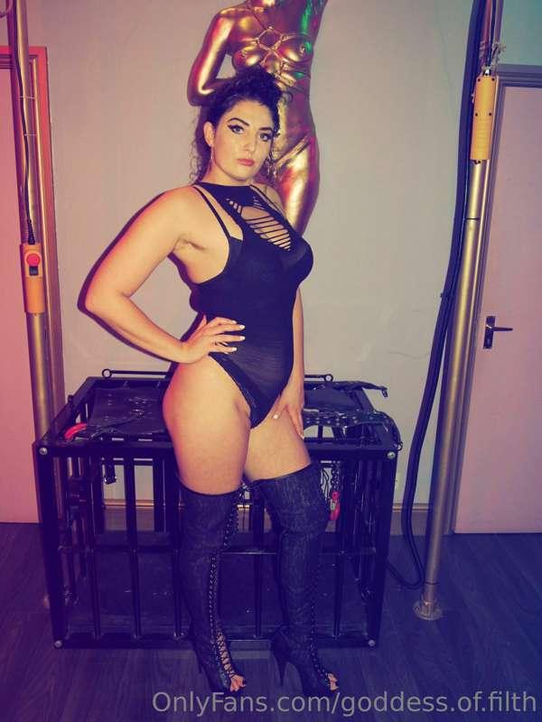 Get In The Cage Bitch Its Where You Belong!