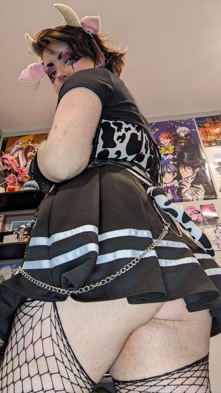 catboyzion image #3