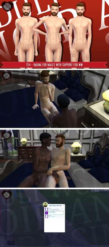 TS4 - Male Vagina [2019-06-12]