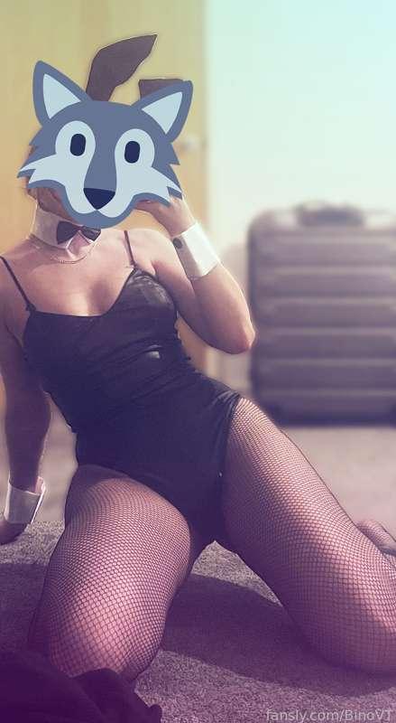binovt image #1