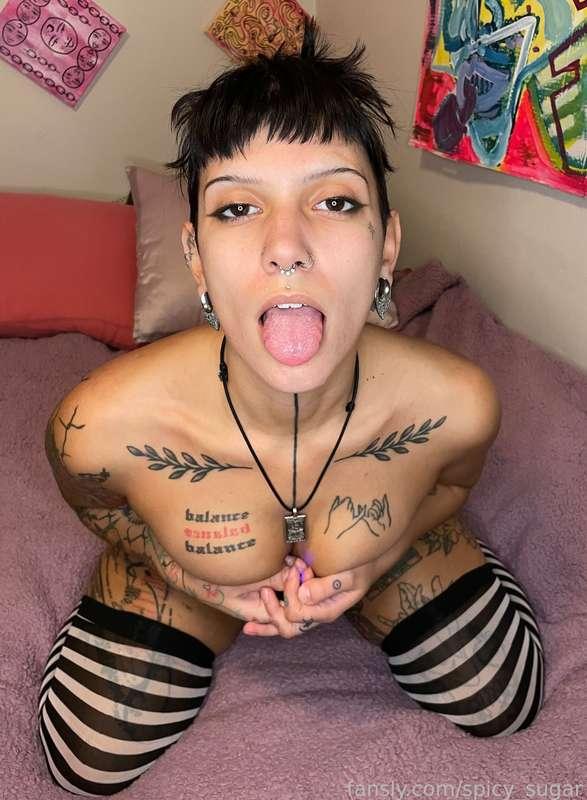 sugarisspicy image #2