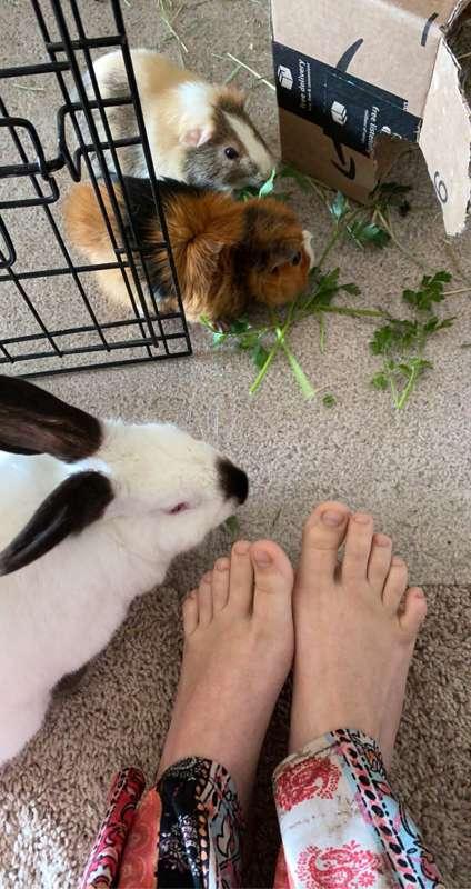 Update :3 and feet with my pets lol