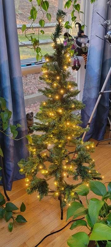 Finally put the new tree up!