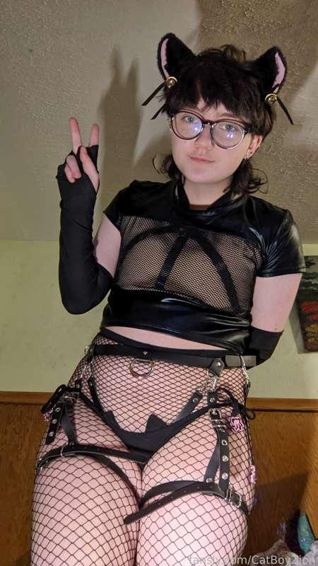 Kitty cat 