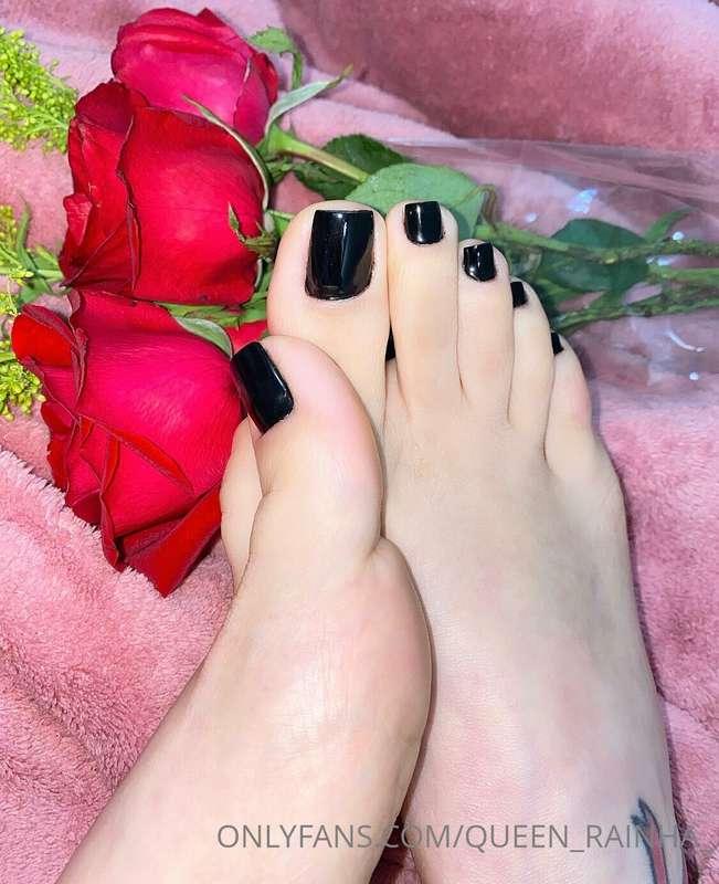 🌹 Like my posts. Curta meus posts🌹