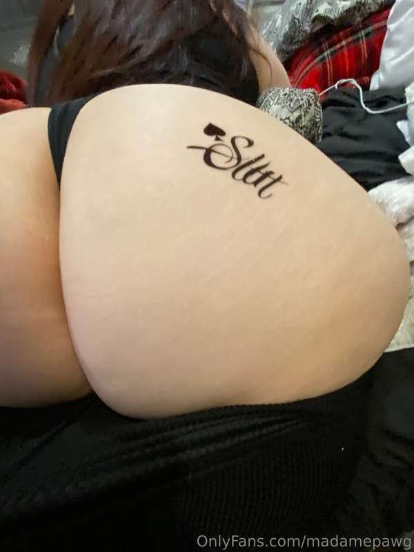 madamepawg image #8
