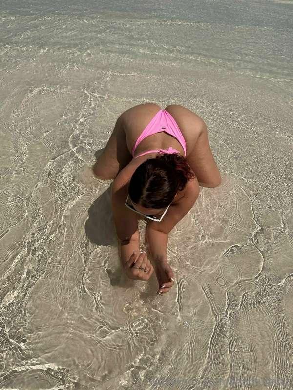 cake by the ocean