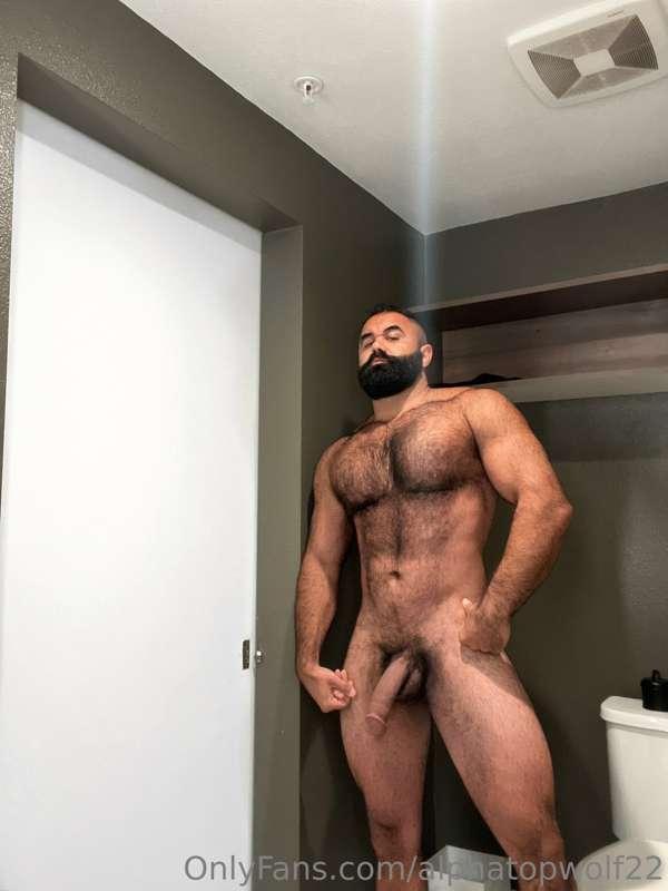 alphatopwolf22 image #0