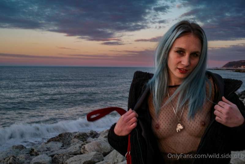 wild.side.of.b image #0