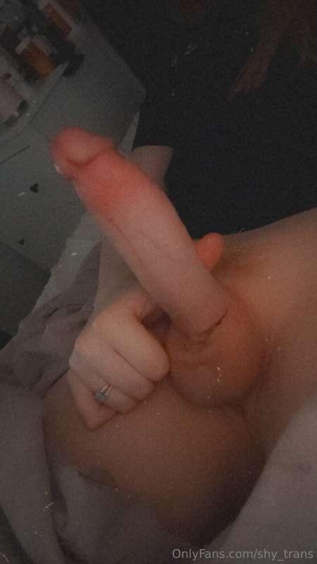shy_trans image #1