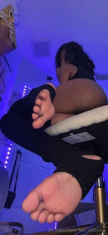 Opinions on these socks?