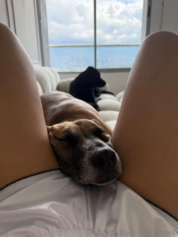 Good place to take a nap 😅
