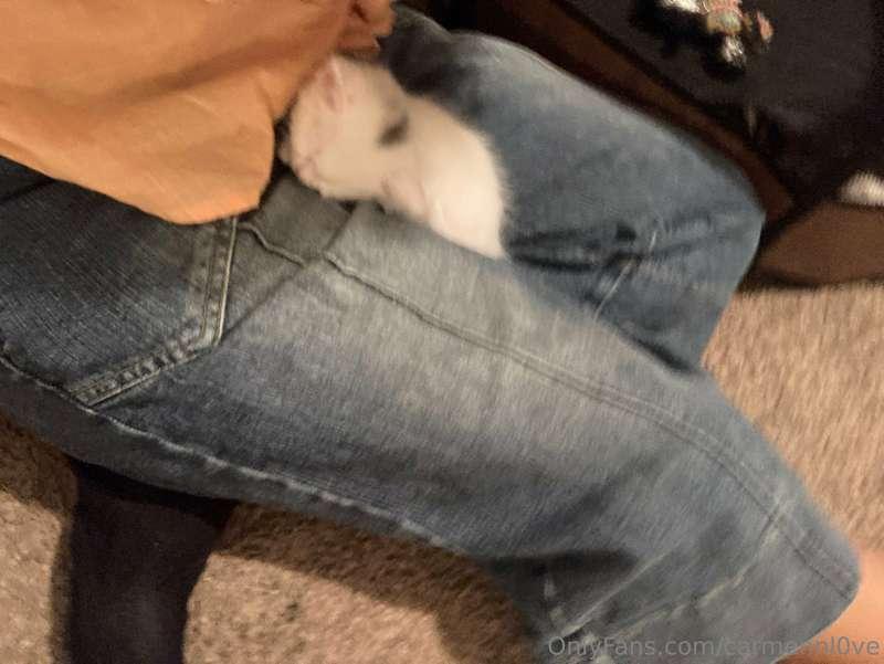 My cat recently had babbiessssss sooooo cute I love it smmm ..