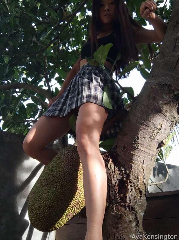 ayakensington image #2